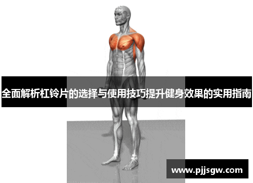 全面解析杠铃片的选择与使用技巧提升健身效果的实用指南